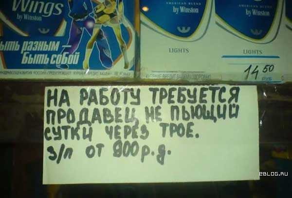 Прикольные картинки от 20 ноября, 85 штук