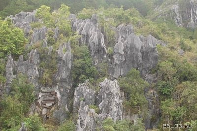 Элитное кладбище на Филипинах. Охренеть! 14 фото.