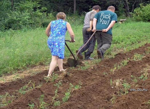 Прикольные картинки от 29 июля, 45 штук